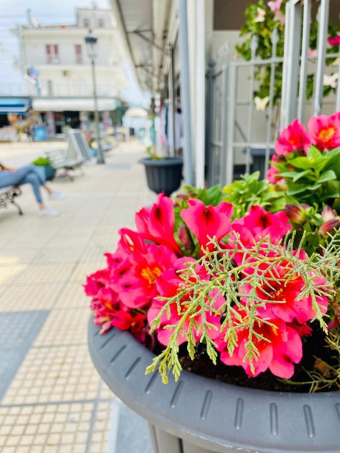 Apartmán Nisel Seaside Paralía